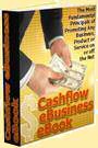 The Complete Cashflow eBusiness Guide - ebook with reprint rights